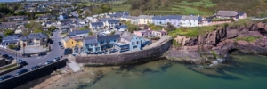 Removals from UK to Ireland